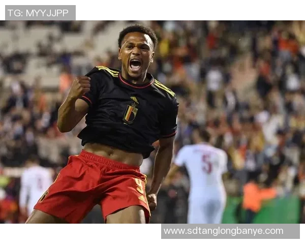 比利时国家足球队明星球员盘点及其职业生涯成就分析